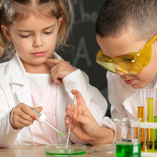 Science Games & Survivor Camp